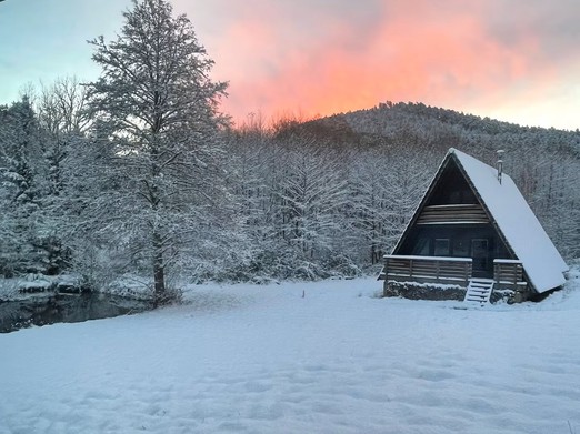 Chalet atypique en A, l'Armorique, en pleine nature dans les Vosges