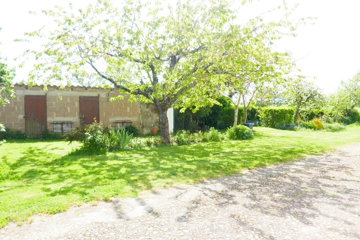 Jardin