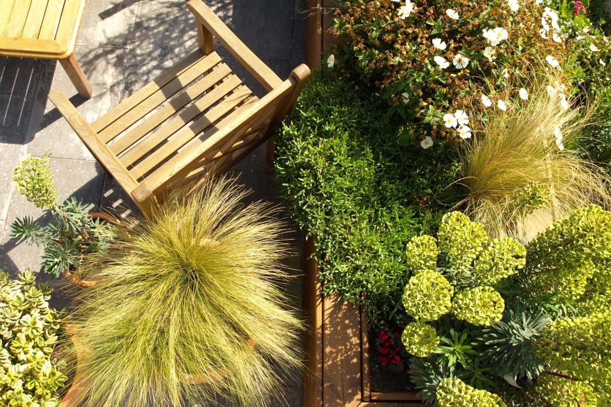 La terrasse paysagée