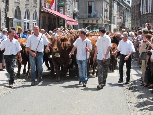 Photo n° 12 de la location