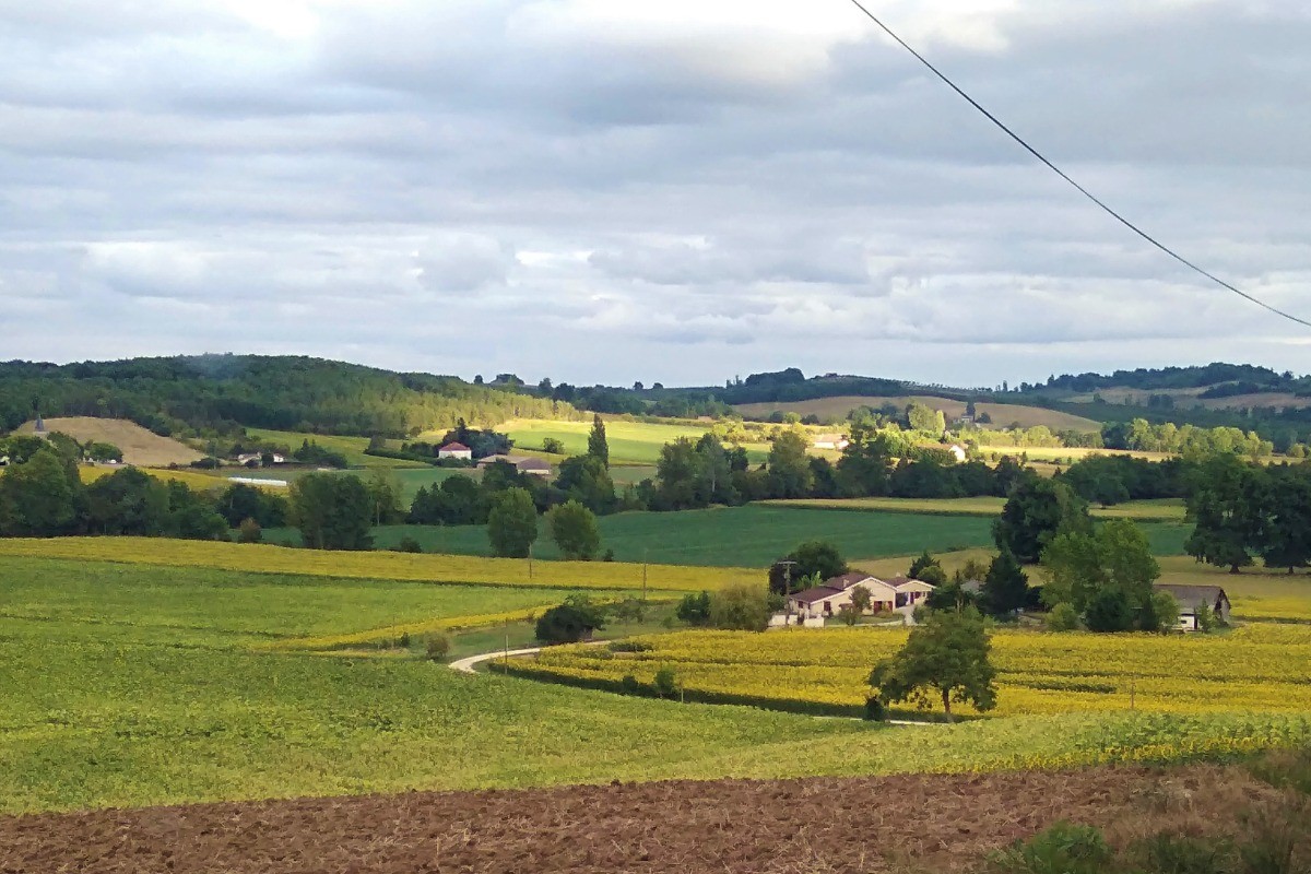 Photo n° 12 de la location