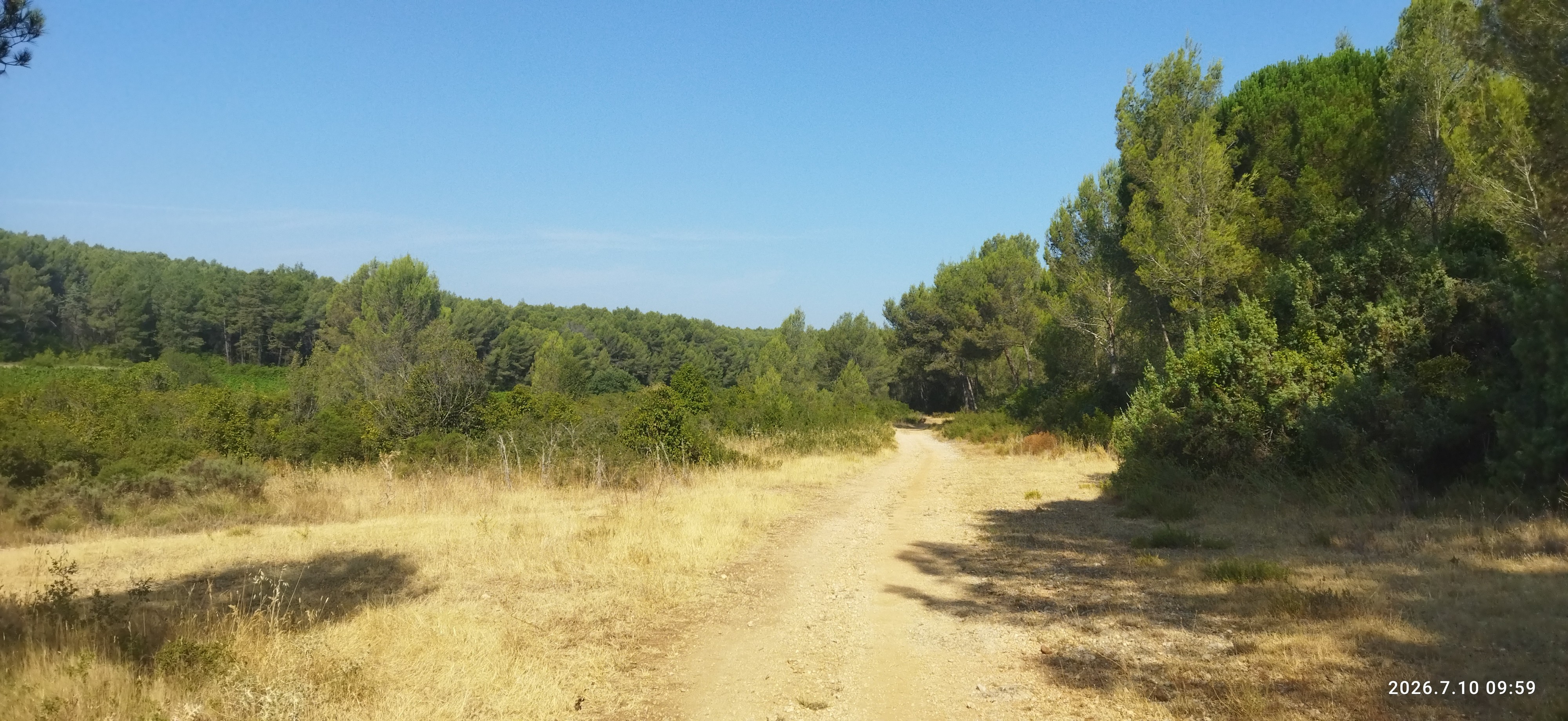 domaine départemental de Baillarguet (5 mn)