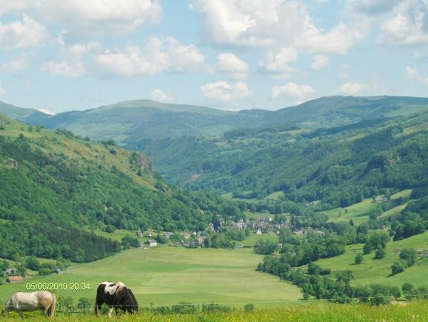 Photo n° 12 de la location