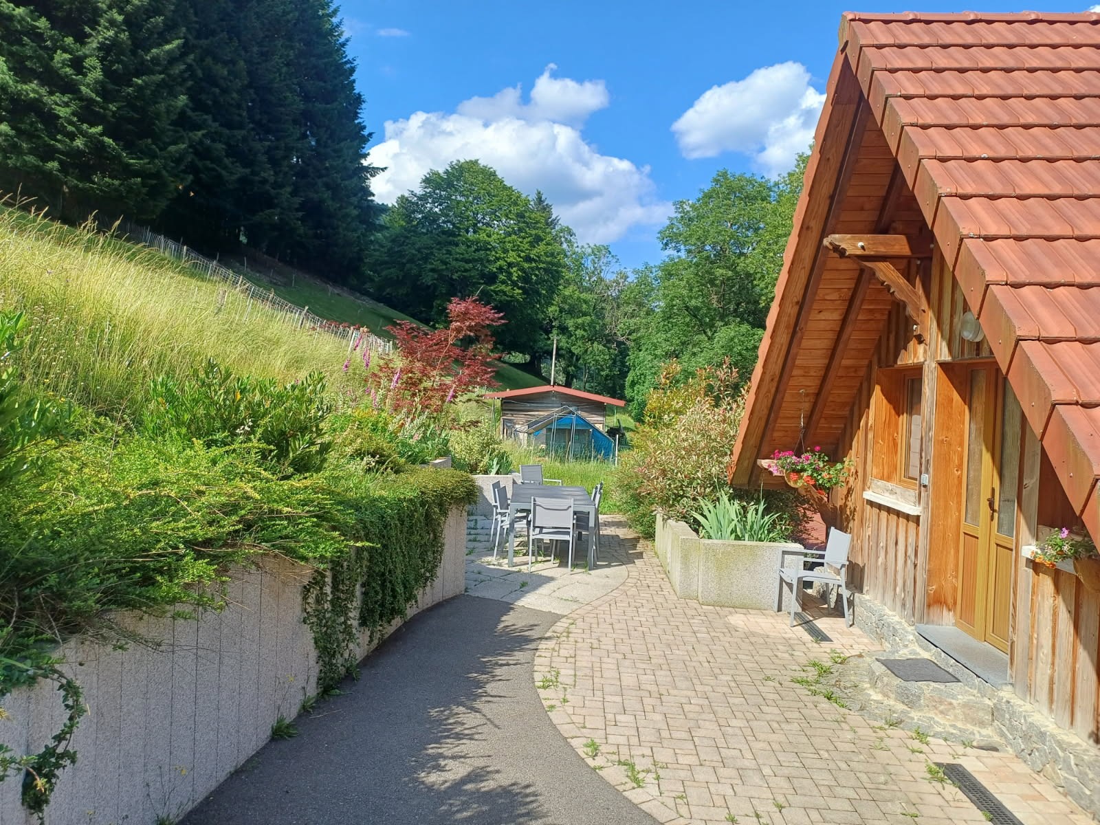 Image n° 2 de la location