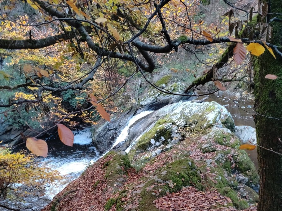 Photo n° 2 of the location