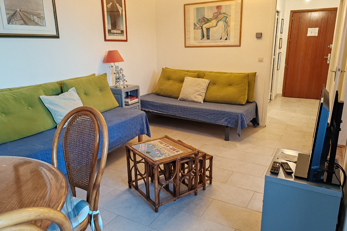 Le séjour (2 lits 90, tv,, dvd,wifi)