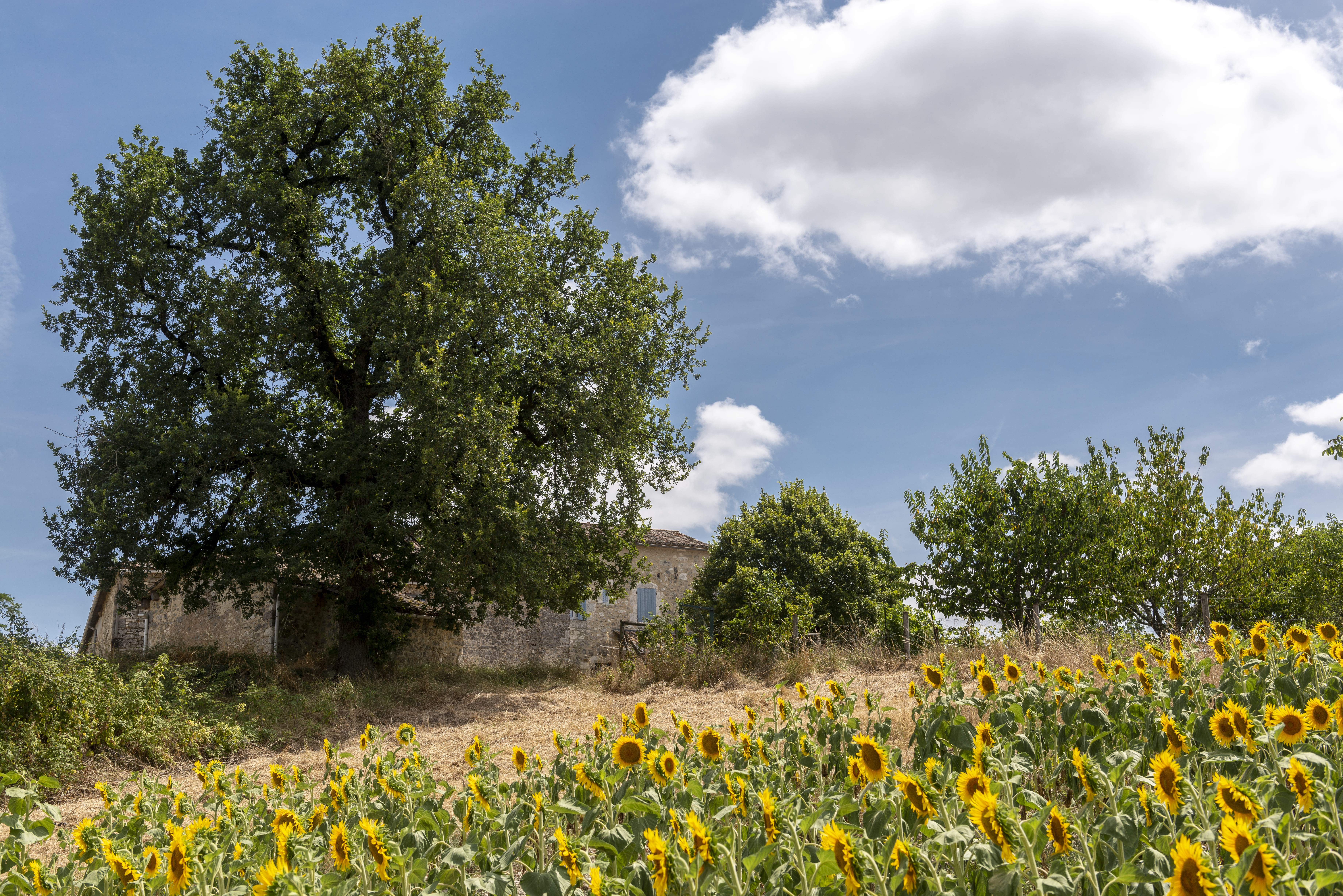 Photo n° 15 of the location
