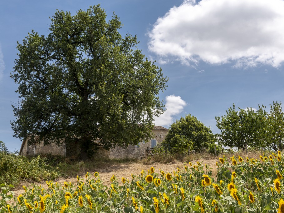 Photo n° 15 de la location