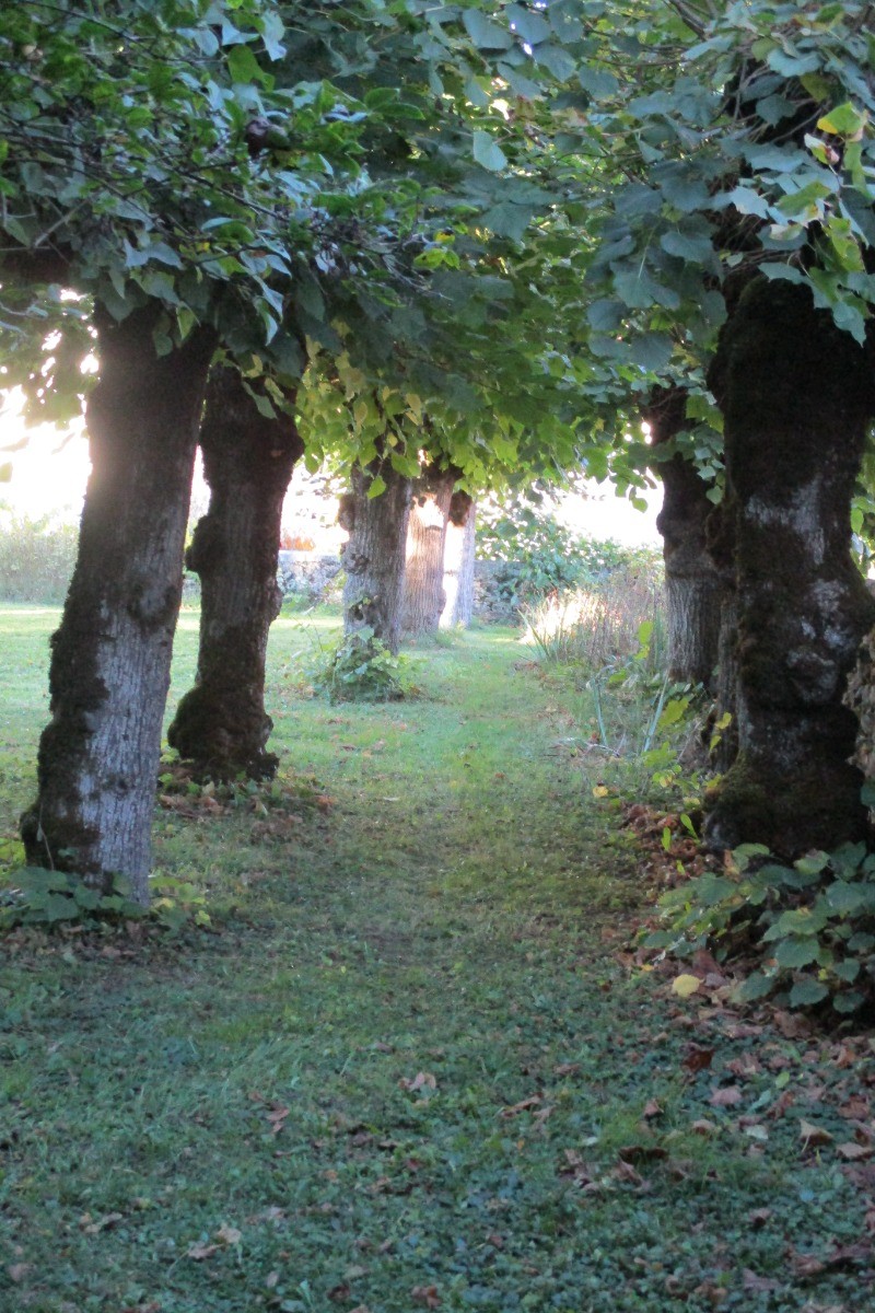 Photo n° 18 of the location