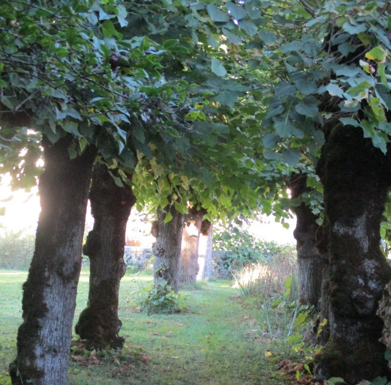 Photo n° 18 de la location