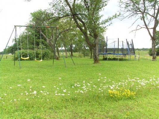 dans le pré