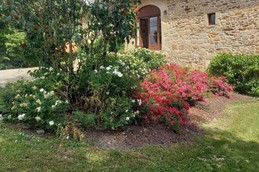 Image n° 5 de la location