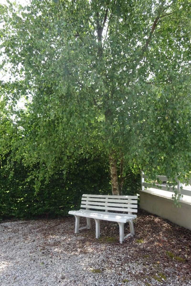 Photo n° 14 de la location