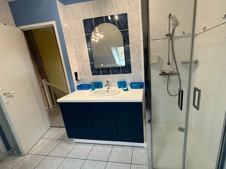 Salle de bain vue douche