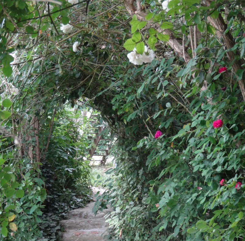 Le sentier menant à la piscine en été, à l'abri du soleil