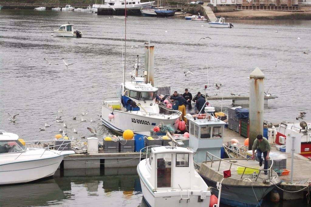 Retour de pêche à Audierne
