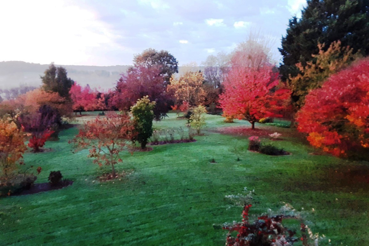 automne 2022 au jardin