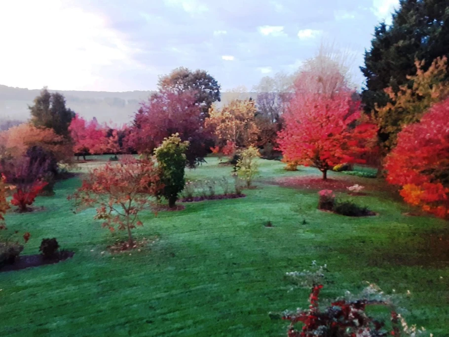 automne 2022 au jardin