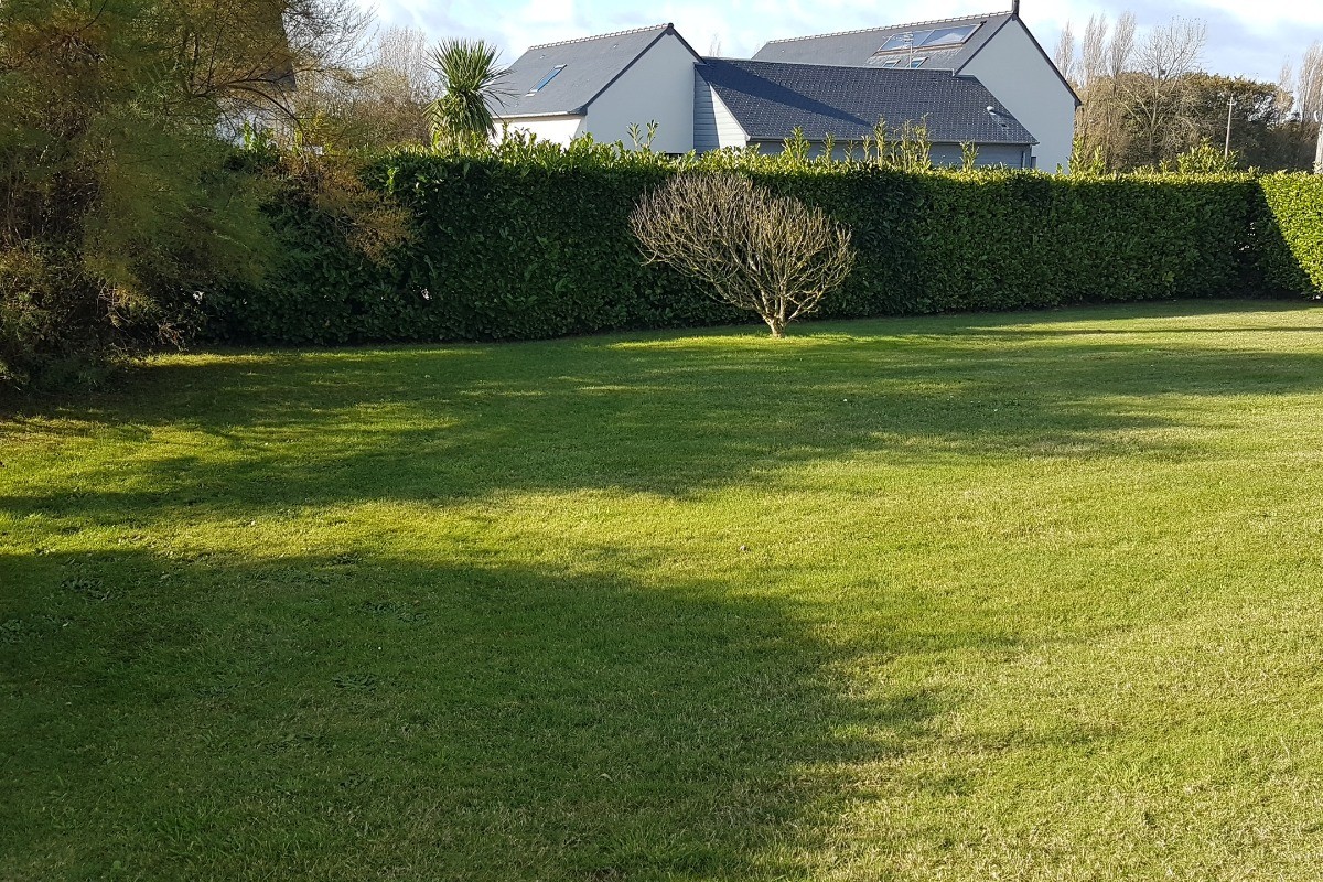 Le jardin devant la maison