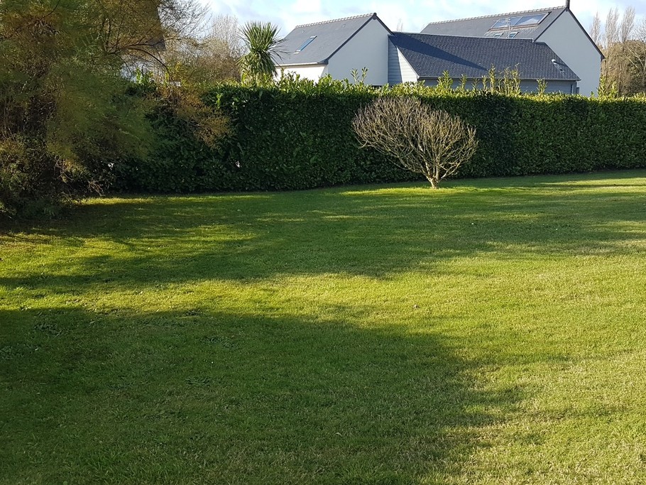 Le jardin devant la maison