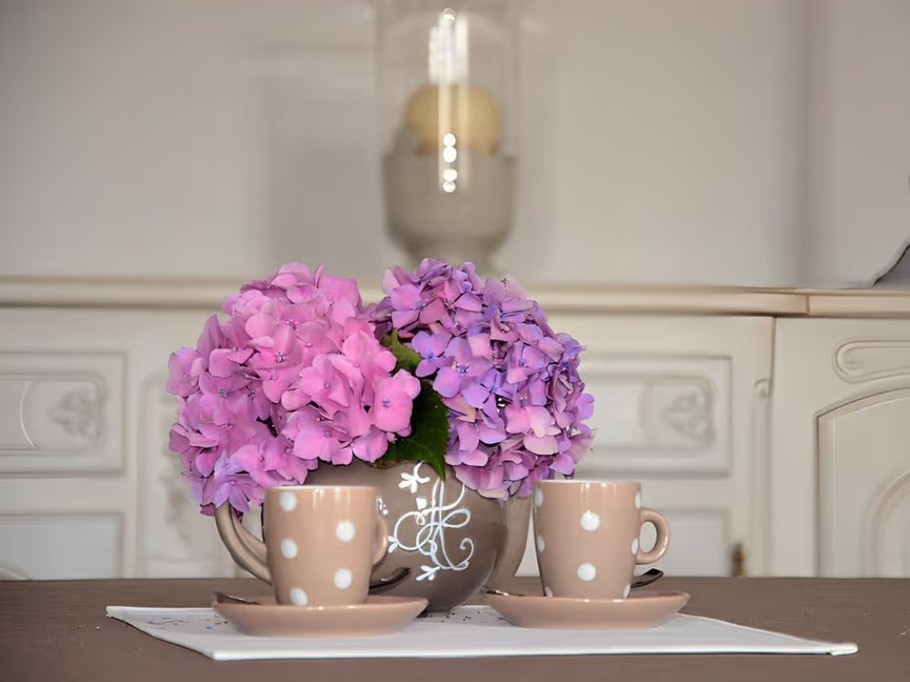 Cuisine / Salon / Séjour au RDC