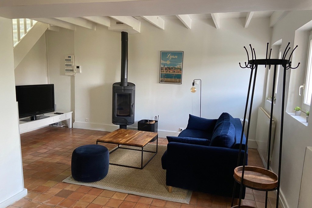 Salon avec poêle à bois et TV