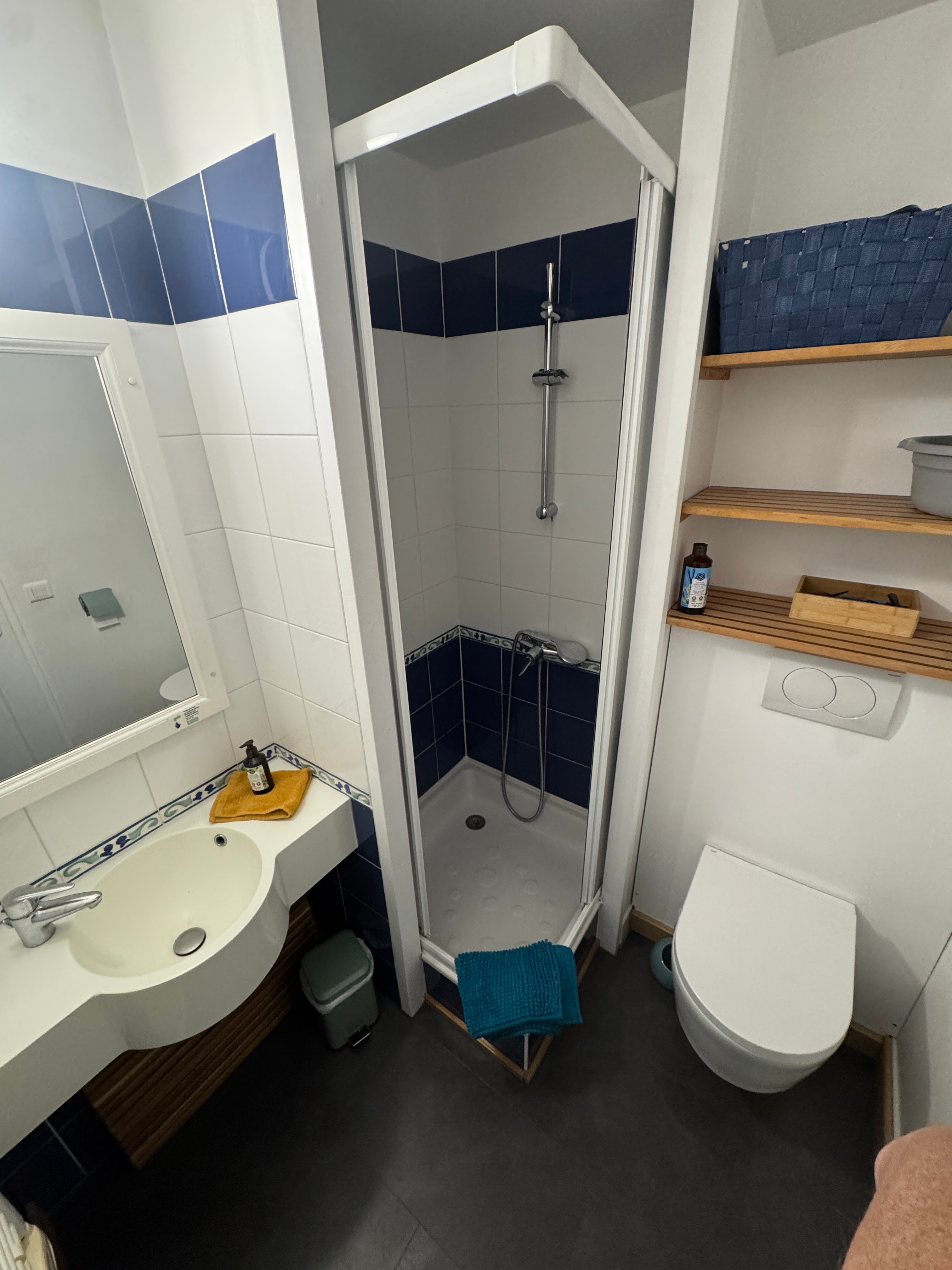 Ground floor: an SDE with WC