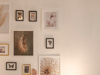 Photo n° 5 de la location