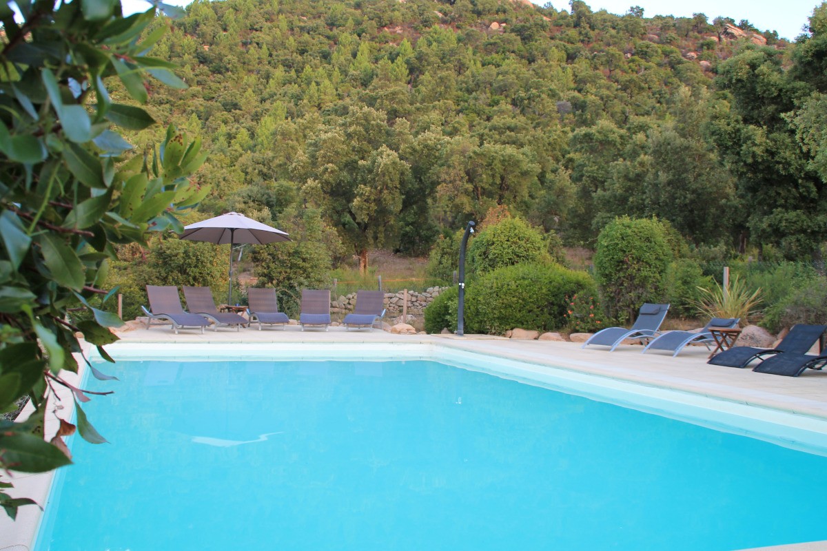 La piscine