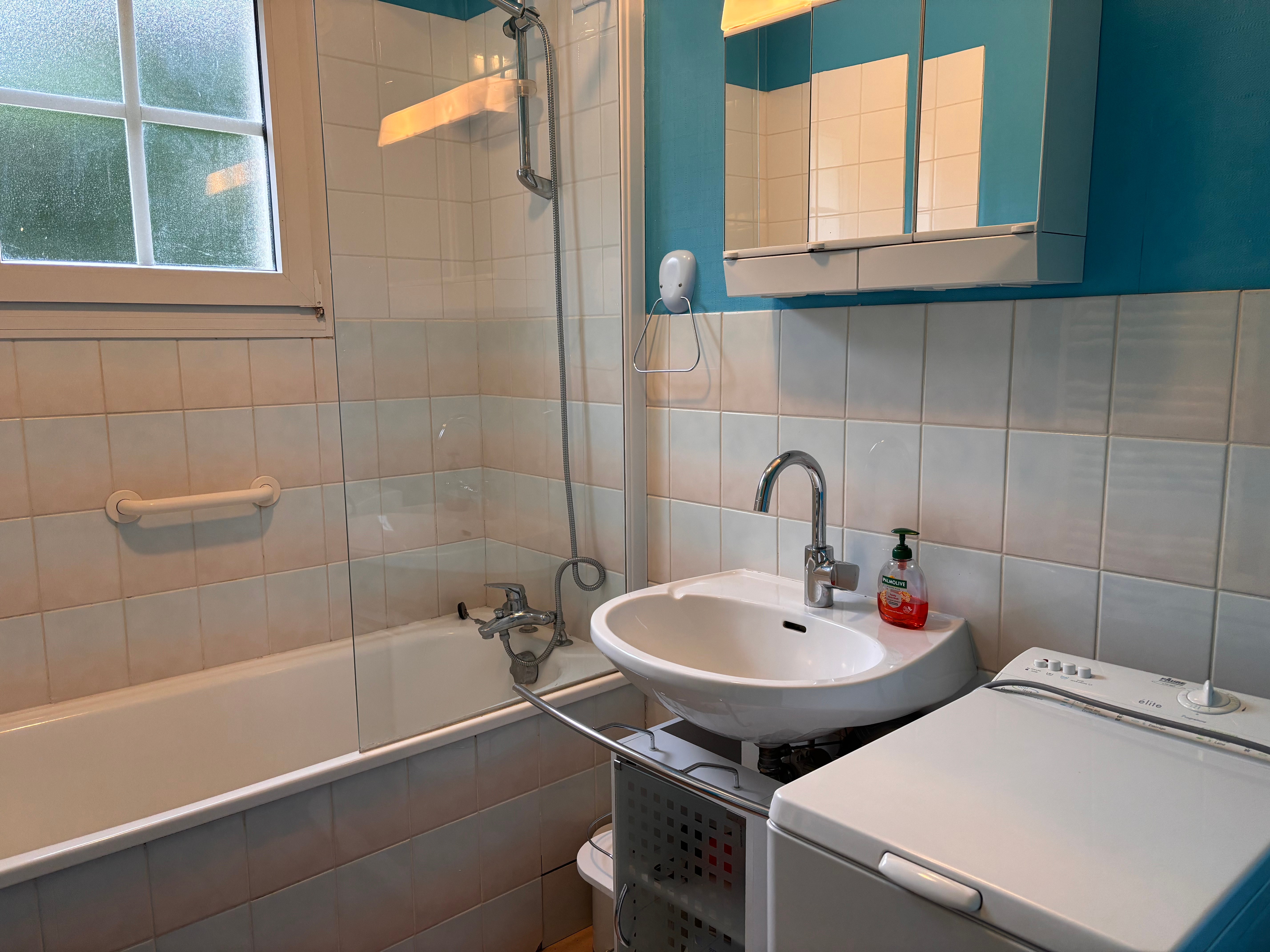 Salle de bain, - Appartement au bord du lac, Gérardmer