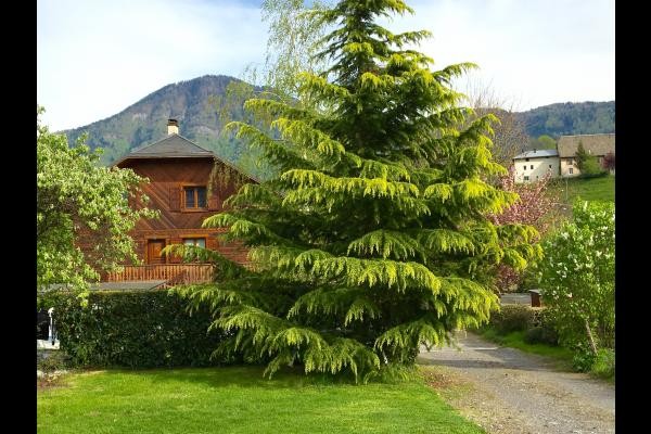 Photo n° 9 de la location