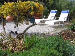 garden area with deckchairs