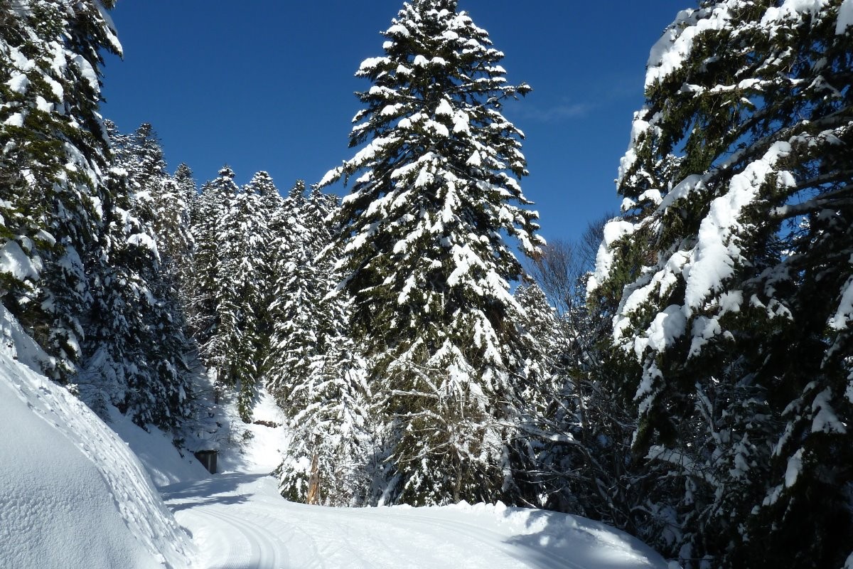Couraduque-Soulor 50 km de pistes