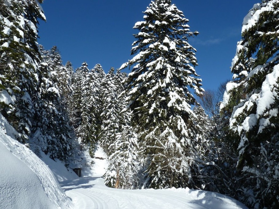 Couraduque-Soulor 50 km de pistes