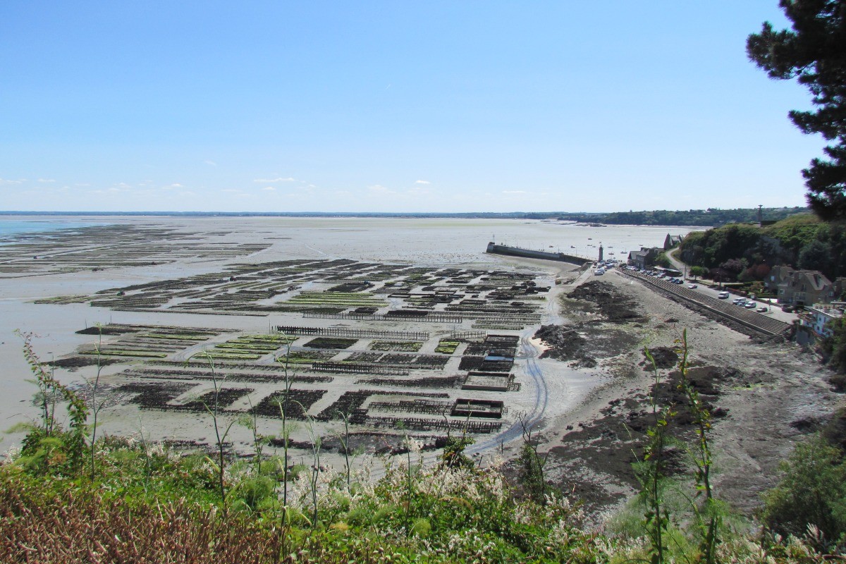 Cancale et ses parcs à huîtres
Crédits photos : ADT 35 COCHERIE-Angelique