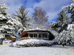 Gîte La Belette, pleine nature