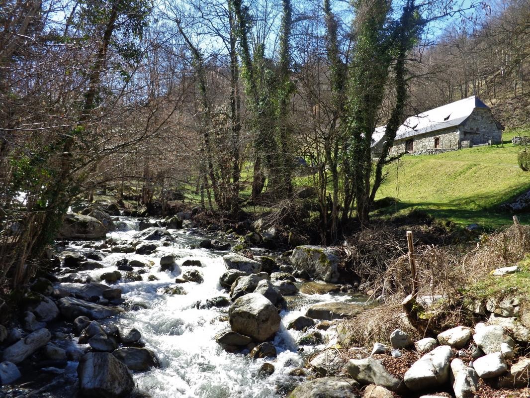 Photo n° 2 de la location