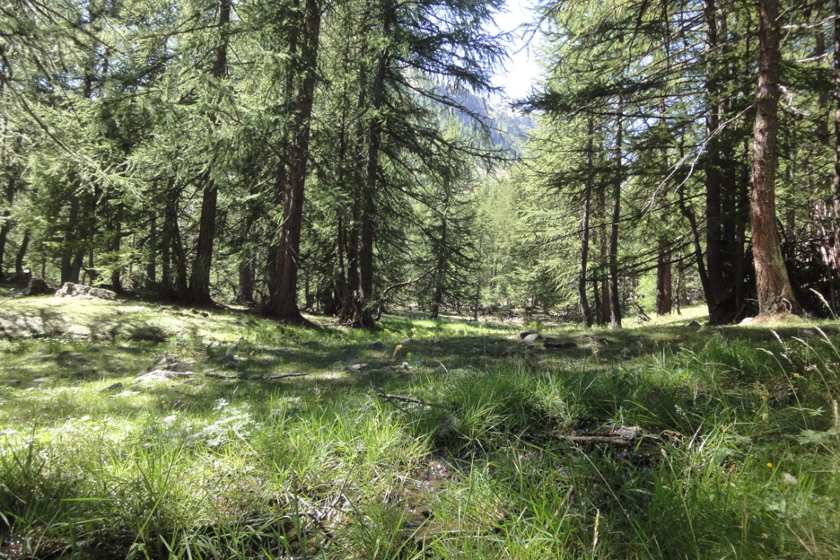 a 45mn du gite la montagne : chmapignons, balades...