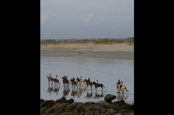 Photo n° 9 de la location