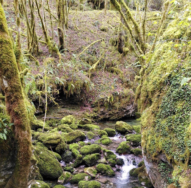 Photo n° 18 of the location