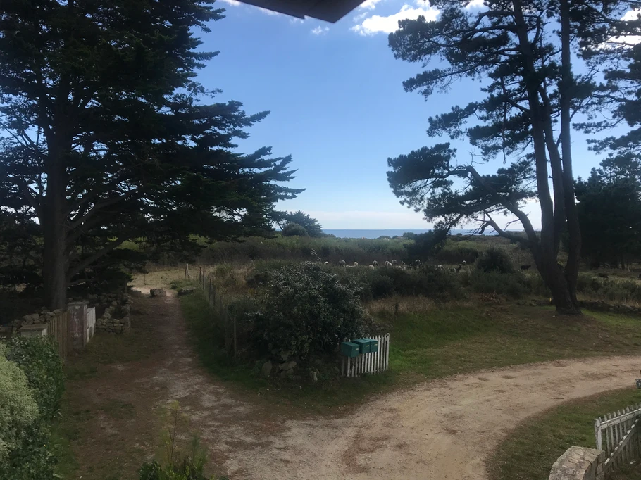 vue de la fenêtre