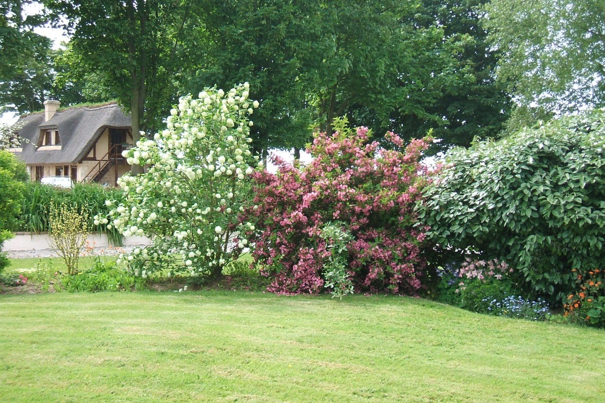 jardin