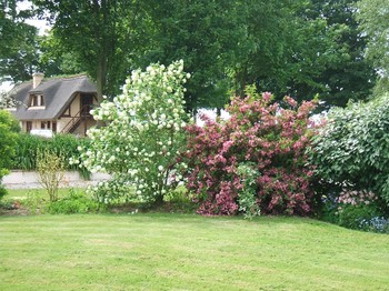 jardin