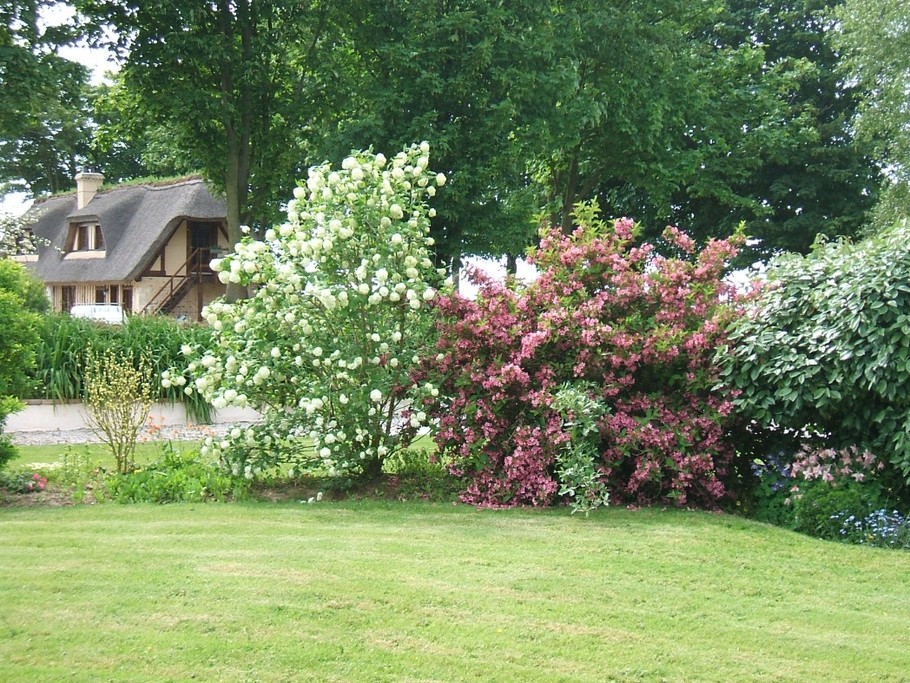 jardin