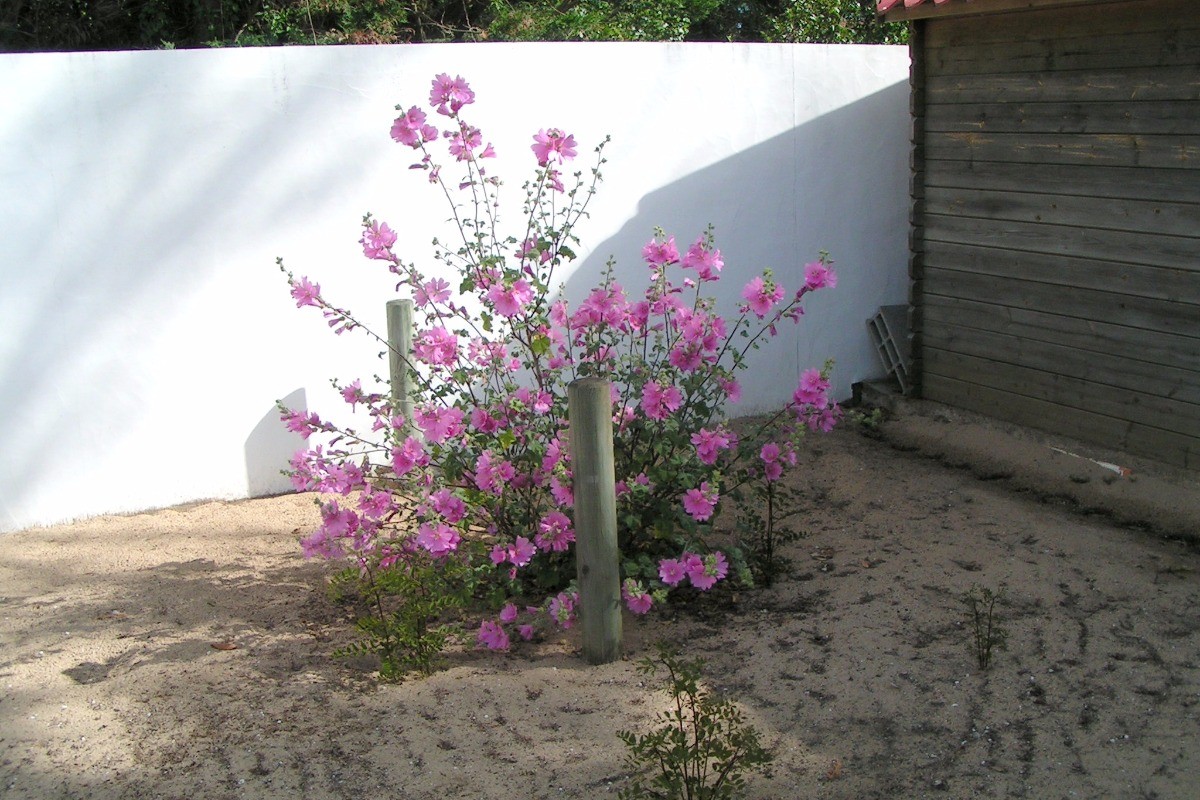 Photo n° 16 of the location
