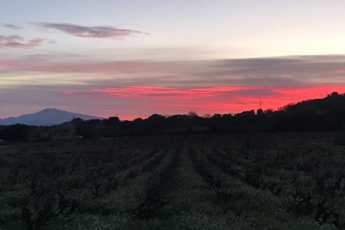 Gîte Le Couchant - Lever du Soleil sur le Mont Ventoux vu du Gîte