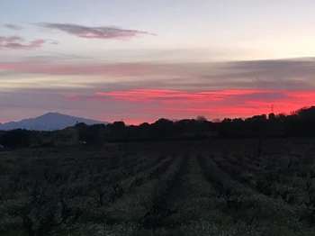 Gîte Le Couchant - Lever du Soleil sur le Mont Ventoux vu du Gîte