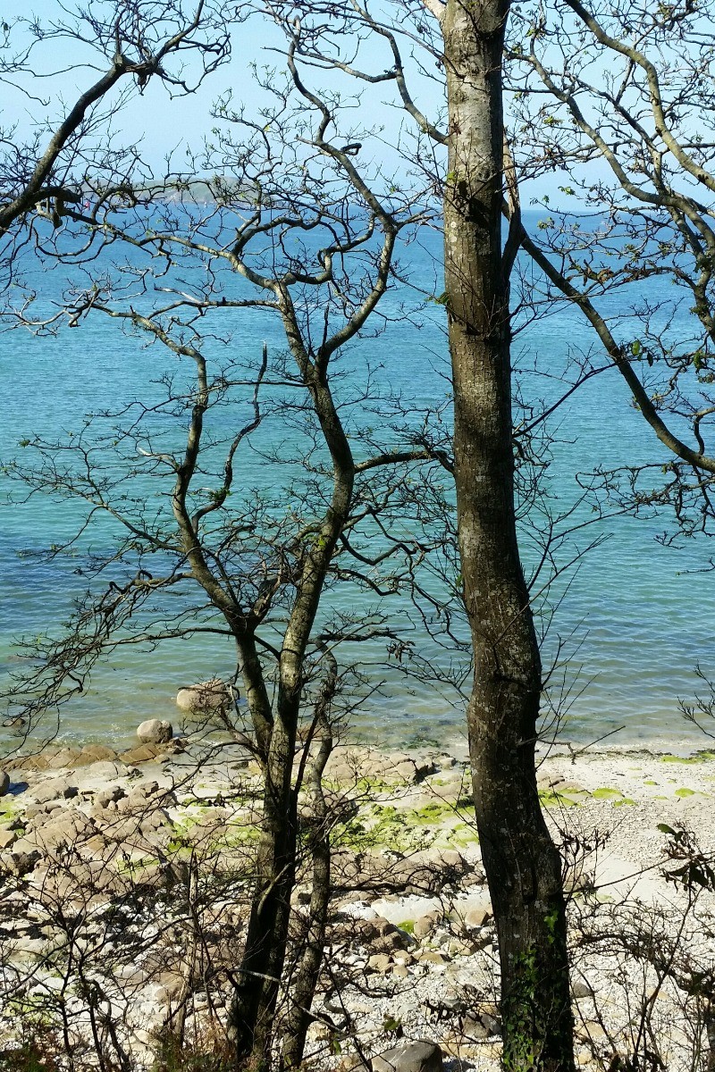 Location "Île verte" dans la maison de Marilou en plein coeur de ville (Côtes d'Armor, Bretagne) - Balade sur la côte de Granit rose