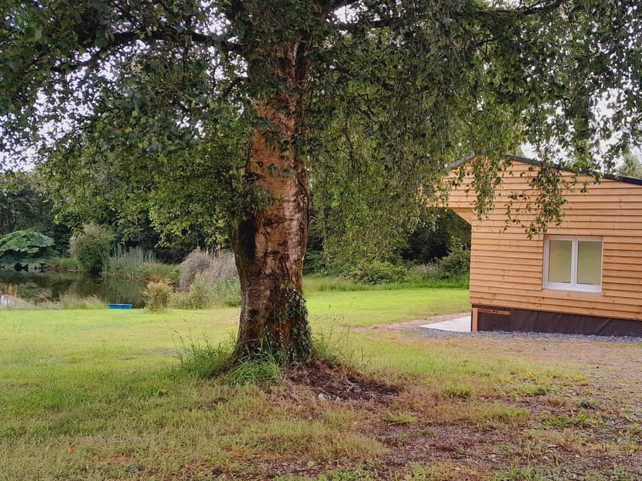 Photo n° 9 de la location