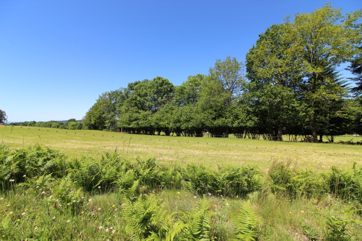 Prairies et vue autour du gîte